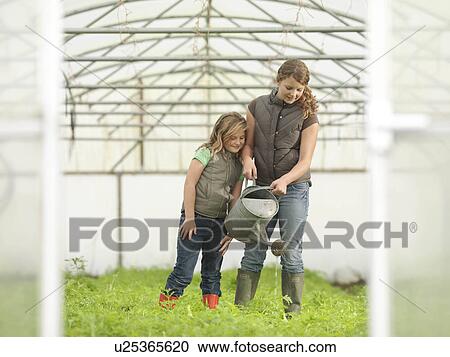 Stock Image - Sisters Watering Crops In Polytunnel. Fotosearch