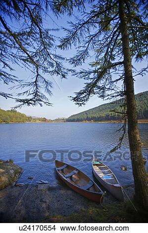 Two kayaks on a lake side. View Large Photo Image Picture - Two kayaks on a lake side.. Fotosearch