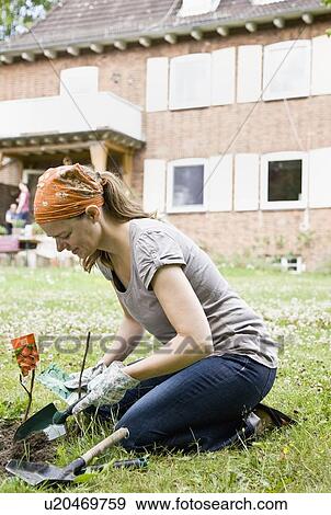 Stock Photo - Woman planting a garden. Fotosearch