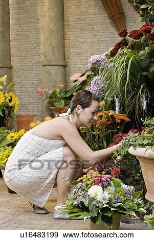 Stock Photo - Woman shopping in a flower shop. Fotosearch