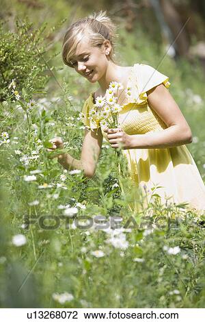 Young girl picking flowers View Large Photo Image Stock Image - Young girl picking flowers. Fotosearch