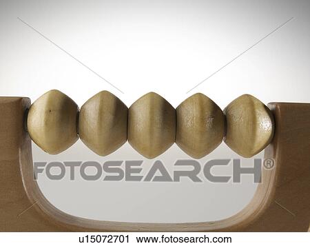 Stock Image - Close-Up of Massage Roller. Fotosearch