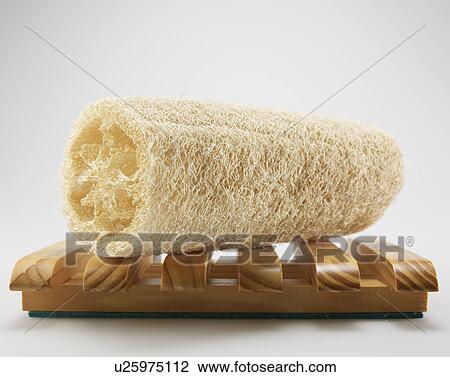 Natural Sponge on Wooden Tray View Large Photo Image Stock Image - Natural Sponge on Wooden Tray. Fotosearch