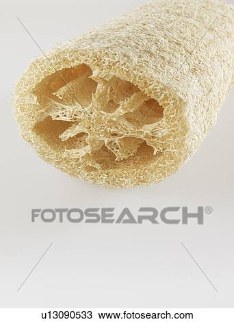 Stock Image - Natural Sponge. Fotosearch