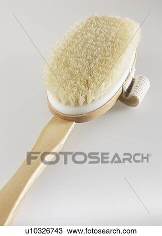 Single Body Brush View Large Photo Image Stock Image - Single Body Brush. Fotosearch