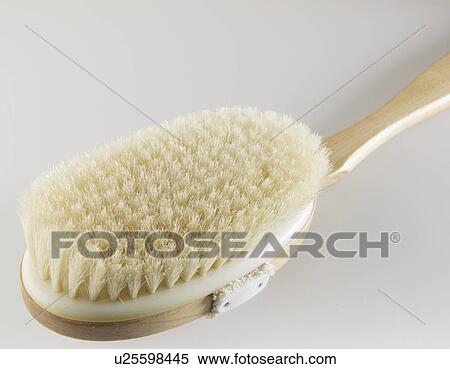 Single Body Brush View Large Photo Image Stock Photography - Single Body Brush. Fotosearch