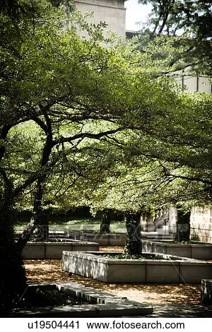 Stock Image - Courtyard with several trees. Fotosearch