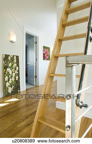 Stock Photo - Hardwood hallway with ladder. Fotosearch