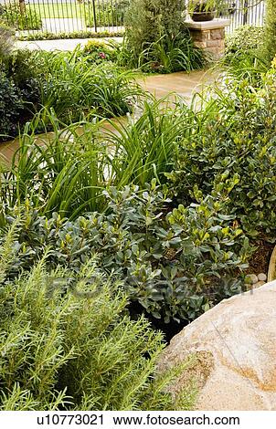 Stock Image - Landscaping outside front of home. Fotosearch
