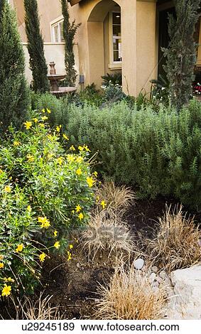 Landscaping outside front of home View Large Photo Image Stock Photo - Landscaping outside front of home. Fotosearch