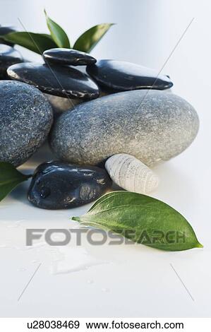 Assorted stones and leaves View Large Photo Image Stock Photo - Assorted stones and leaves. Fotosearch