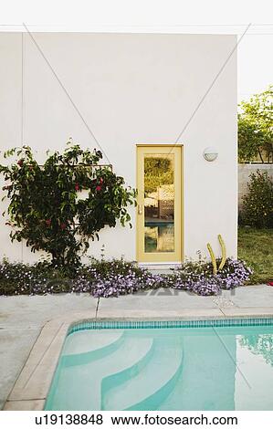 Stock Photo - Backyard swimming pool. Fotosearch