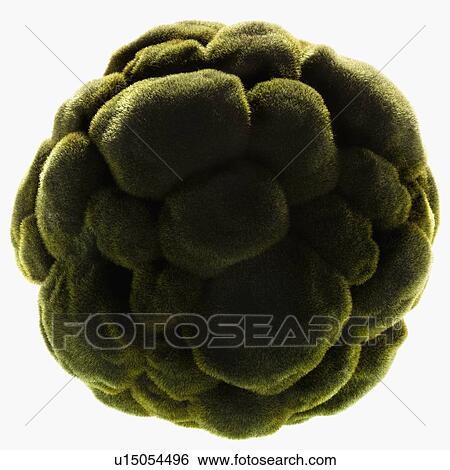 Stock Photograph - Ball of green grass. Fotosearch