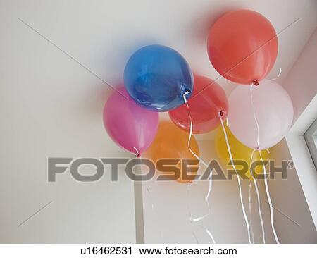 Balloons on ceiling View Large Photo Image Stock Image - Balloons on ceiling. Fotosearch