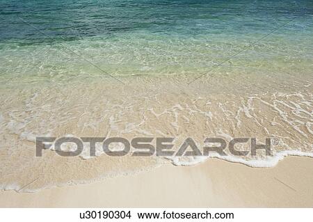 Picture - Beach and clear ocean water. Fotosearch