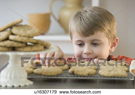 Stock Photo - Boy taking fresh cookie from rack. Fotosearch