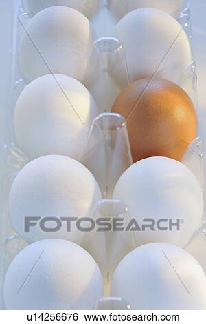 Brown and white eggs View Large Photo Image Stock Photograph - Brown and white eggs. Fotosearch