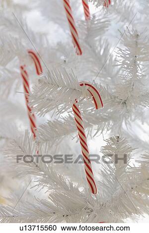 Candy canes on artificial Christmas tree View Large Photo Image Stock Image - Candy canes on artificial Christmas tree. Fotosearch