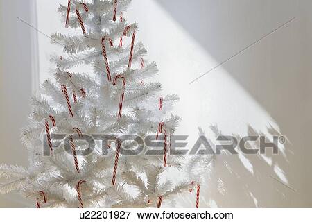 Candy canes on artificial Christmas tree View Large Photo Image Stock Photo - Candy canes on artificial Christmas tree. Fotosearch