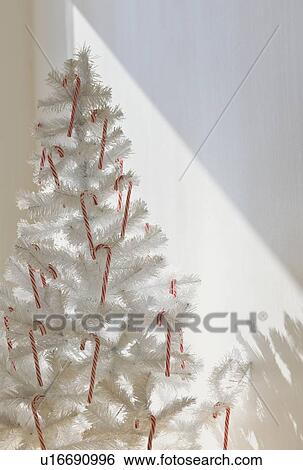 Candy canes on artificial Christmas tree View Large Photo Image Stock Photograph - Candy canes on artificial Christmas tree. Fotosearch