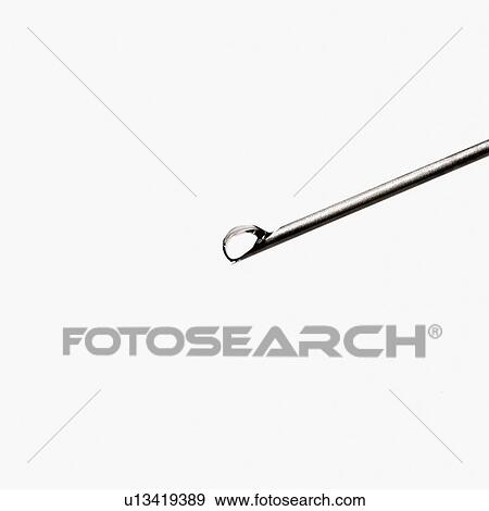 Close up of droplet on end of needle View Large Photo Image Stock Photo - Close up of droplet on end of needle. Fotosearch
