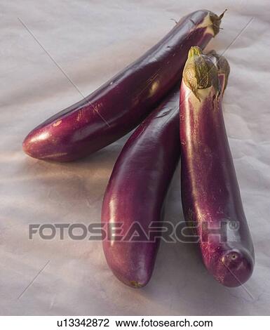 Close up of eggplants View Large Photo Image Stock Image - Close up of eggplants. Fotosearch