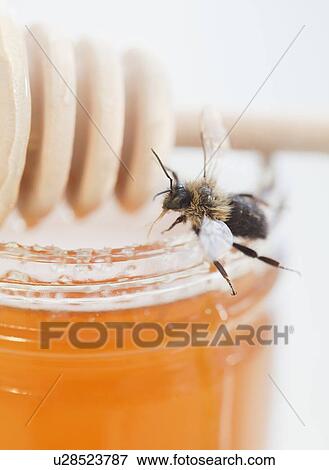 Stock Photo - Close up of fresh honeycomb. Fotosearch