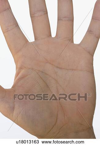 Close up of hand View Large Photo Image Stock Image - Close up of hand. Fotosearch