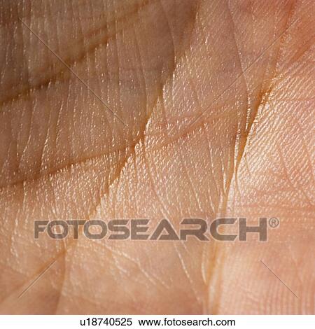 Stock Photography - Close up of human palm. Fotosearch