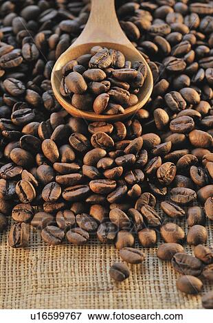 Stock Photo - Coffee beans. Fotosearch