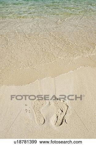 Footprints in sand View Large Photo Image Stock Photo - Footprints in sand. Fotosearch