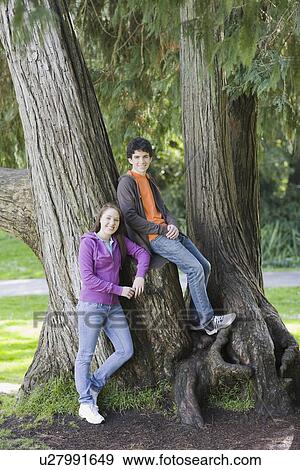 Friends posing in tree in park View Large Photo Image Stock Photo - Friends posing in tree in park. Fotosearch