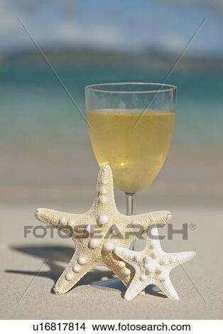 Glass of wine and sea stars View Large Photo Image Picture - Glass of wine and sea stars. Fotosearch