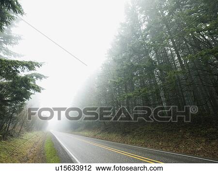 Highway through foggy forest View Large Photo Image Stock Image - Highway through foggy forest. Fotosearch