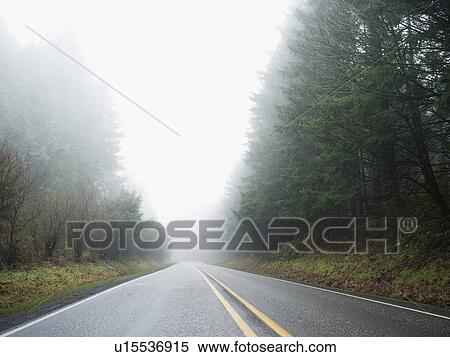 Highway through foggy forest View Large Photo Image Stock Photography - Highway through foggy forest. Fotosearch