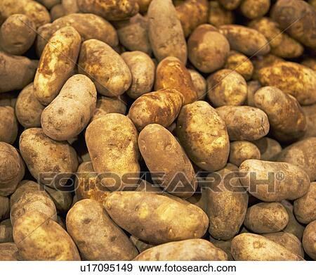 Stock Photo - Idaho potatoes at a fruit stand. Fotosearch