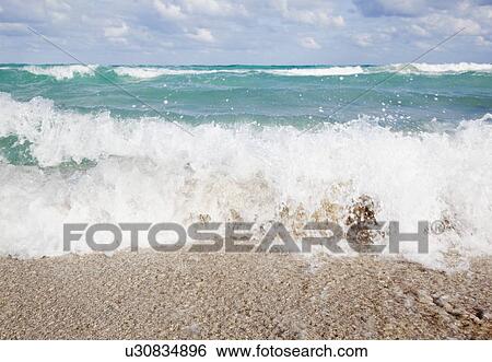 Low angle view of seagull flying View Large Photo Image Stock Photograph - Low angle view of seagull flying. Fotosearch