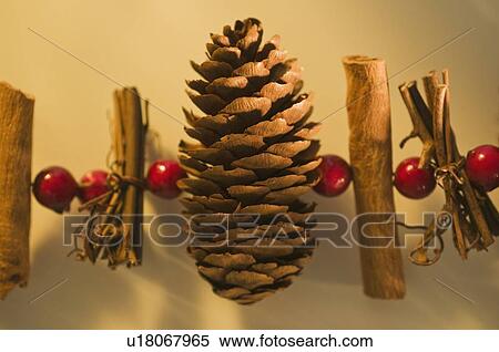 Stock Photography - Pine cone Christmas decoration. Fotosearch
