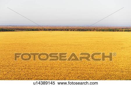 Rural landscape View Large Photo Image Stock Photography - Rural landscape. Fotosearch