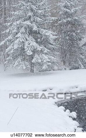 Stock Image - Snowy forest and stream in winter. Fotosearch