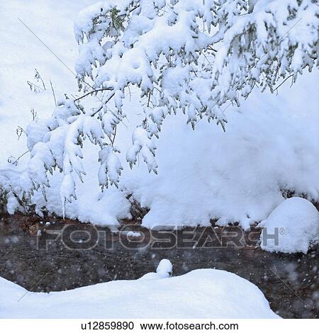 Stock Image - Snowy stream in winter. Fotosearch