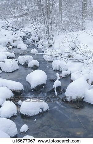 Snowy stream in winter View Large Photo Image Stock Photo - Snowy stream in winter. Fotosearch
