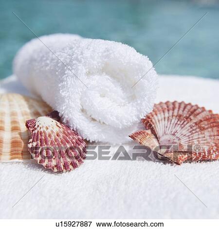 Spa towel and seashells View Large Photo Image Stock Photo - Spa towel and seashells. Fotosearch