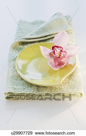 Spa towel and tropical flower View Large Photo Image Stock Photo - Spa towel and tropical flower. Fotosearch