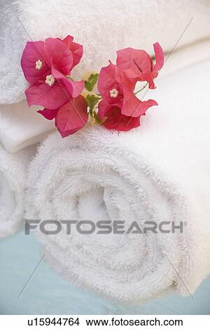 Spa towels and tropical flower View Large Photo Image Picture - Spa towels and tropical flower. Fotosearch