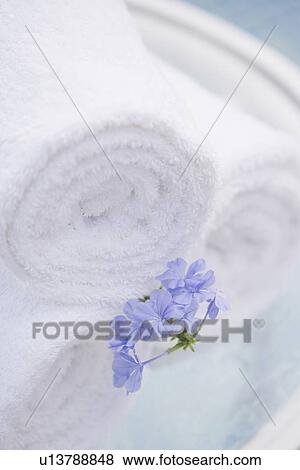 Spa towels and tropical flower View Large Photo Image Stock Photo - Spa towels and tropical flower. Fotosearch