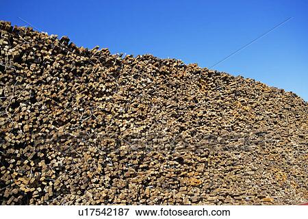 Stock Photo - Stack of wood stakes. Fotosearch