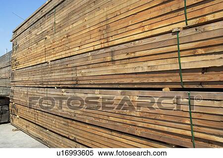 Stacks of lumber View Large Photo Image Stock Photography - Stacks of lumber. Fotosearch
