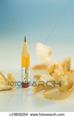 Picture - Stubby pencil and shavings. Fotosearch