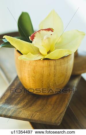 Stock Photo - Tropical flower and wooden bowls. Fotosearch